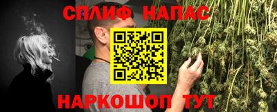 гидра Тара