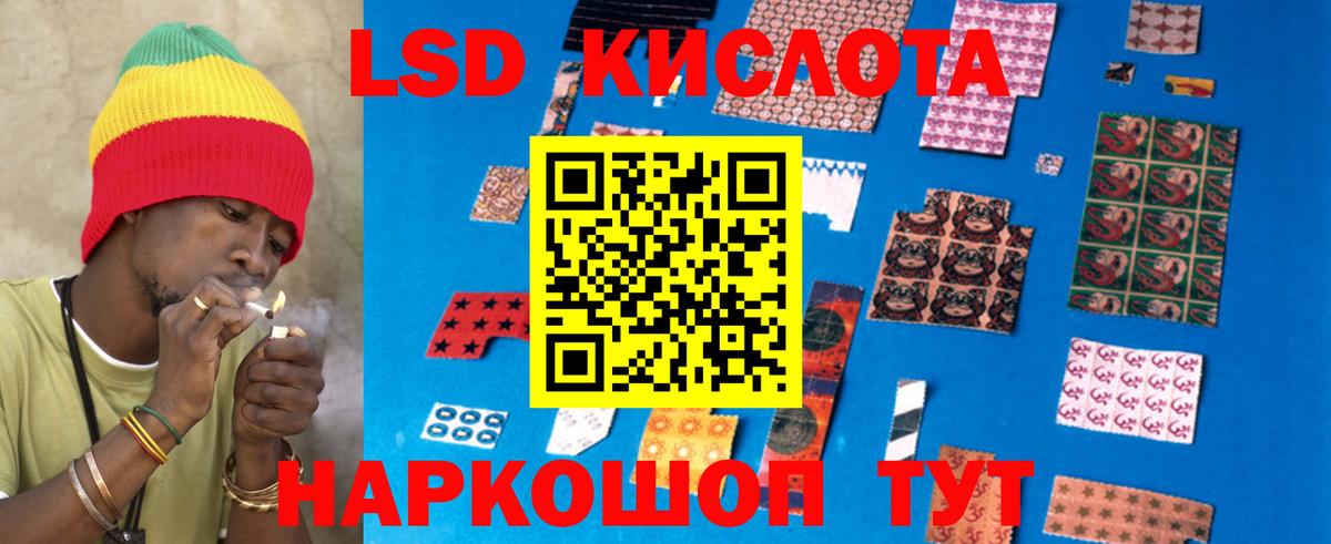 LSD-25 экстази кислота  Вход с VPN  Новоалександровск 