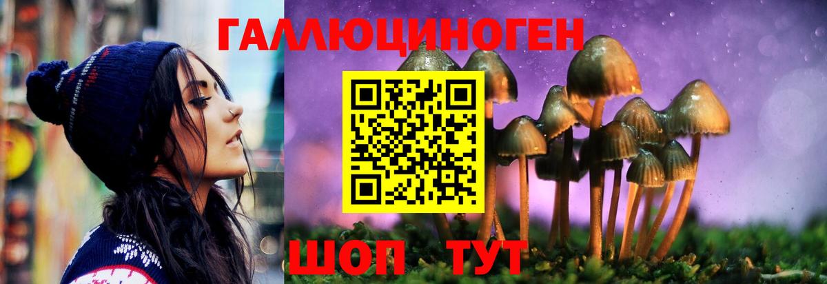 Новоалександровск  Псилоцибиновые грибы прущие грибы  Галлюциногенные грибы мицелий  Вход с VPN 